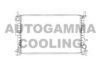 AUTOGAMMA 102073 Radiator, engine cooling